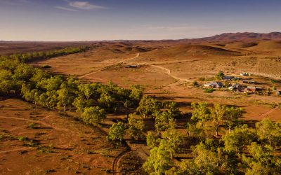 Almerta Station - October 2019-634